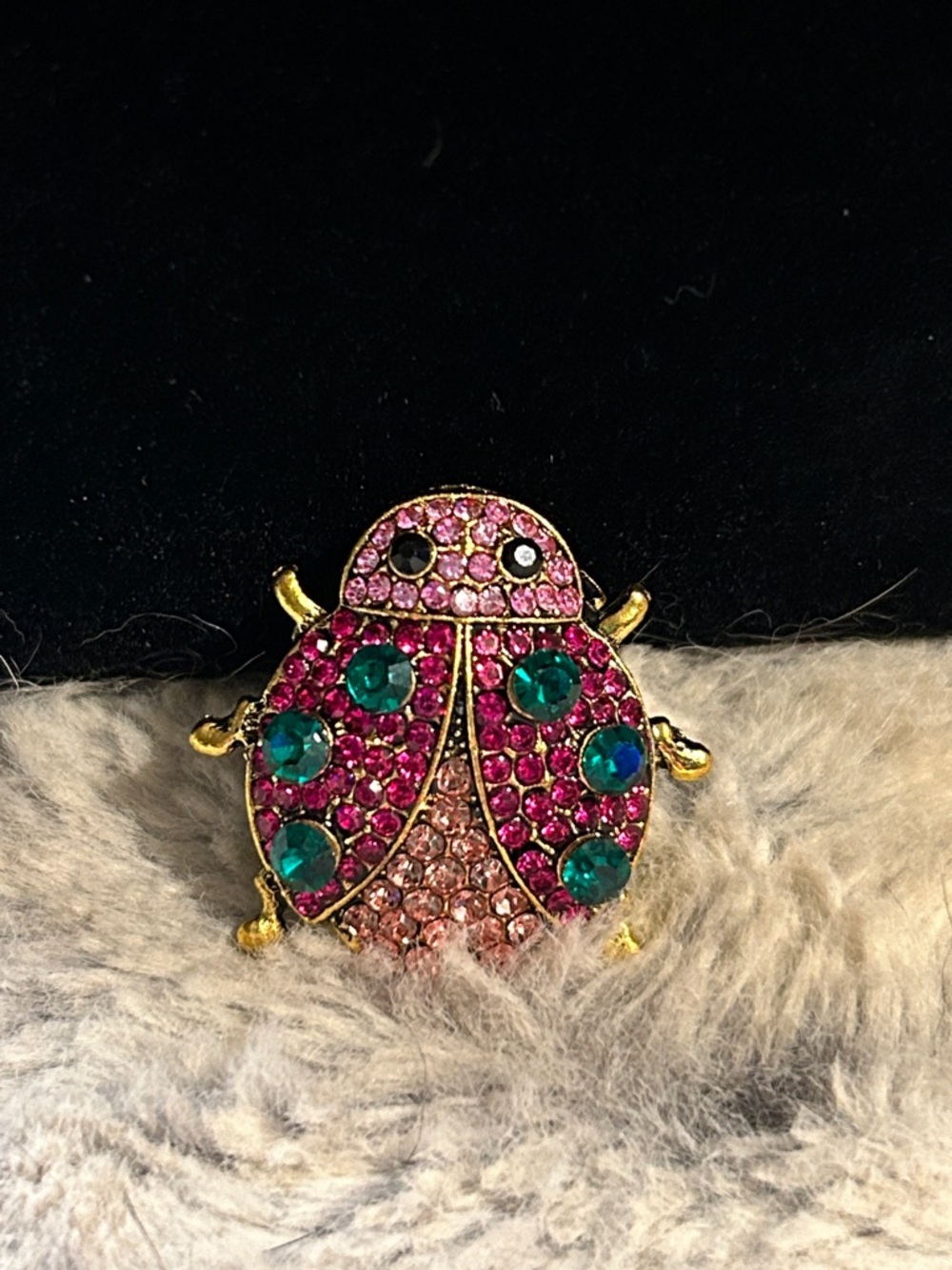 Source Unknown Pink and Teal Rhinestone Ladybug Brooch